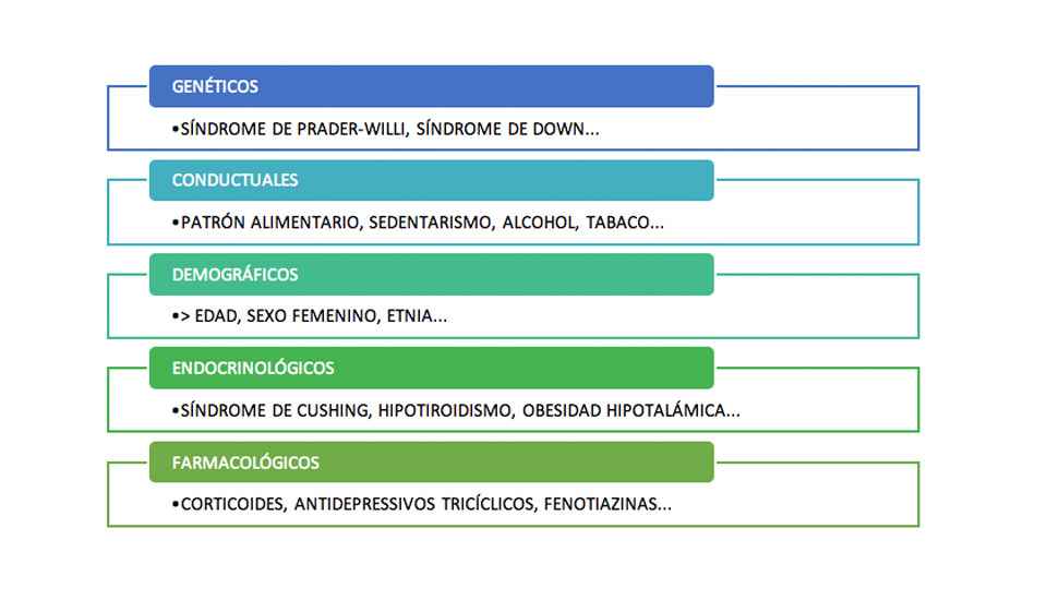 factores de riesgo de la obesidad